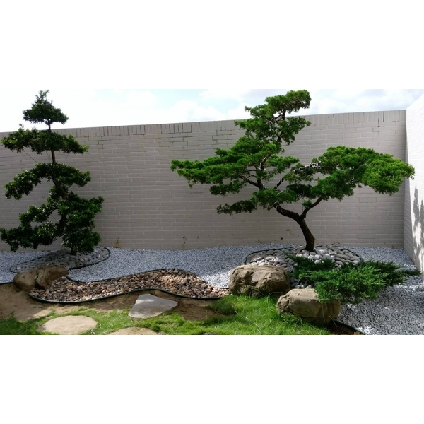 庭院景觀工程 庭院景觀工程