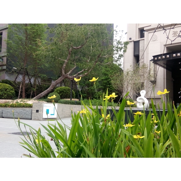 登陽漱玉-禾景園林有限公司