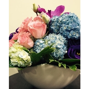 盆花-朵森綠美化工作室