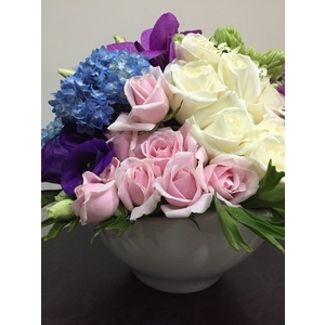 盆花-朵森綠美化工作室