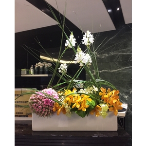 情人節花禮-朵森綠美化工作室