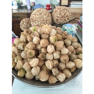 裝置藝術-朵森綠美化工作室