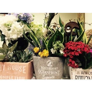 組合盆栽-朵森綠美化工作室