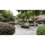 綠籬修剪完成 - 朵森綠美化工作室