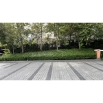 綠籬修剪 - 朵森綠美化工作室