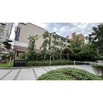 楓香樹維護 - 朵森綠美化工作室