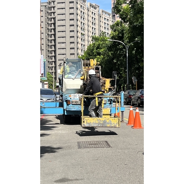 楓香樹高空修剪