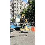 楓香樹高空修剪 - 朵森綠美化工作室