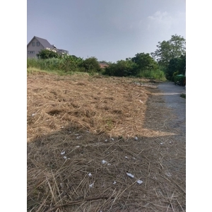 除草工／割草工-德昌工程企業公司