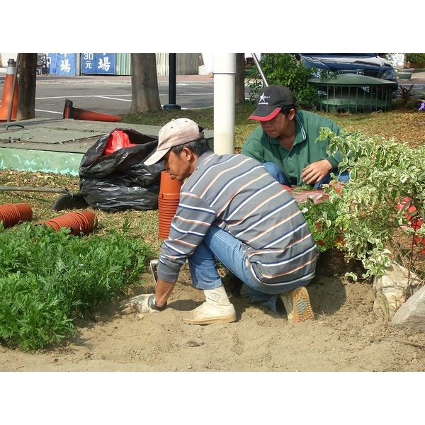 園藝整理／樹木修剪-德昌工程企業公司