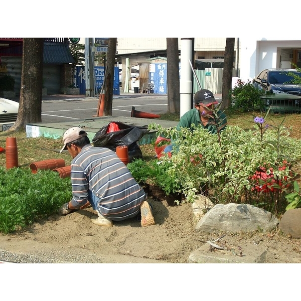 園藝整理／樹木修剪-德昌工程企業公司