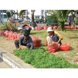 園藝整理／樹木修剪-德昌工程企業公司