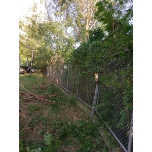 樹木修剪-德昌工程企業公司