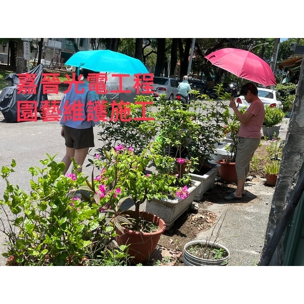 園藝維護施工