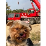 螃蟹吊車 - 啟大起重工程行