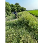 割草