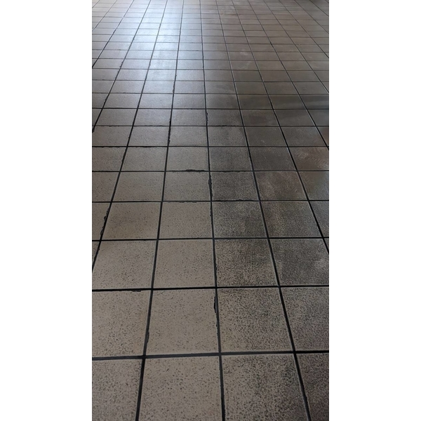 地板清潔
