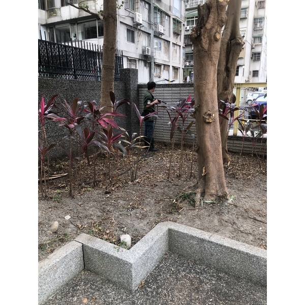 戶外牆壁清潔