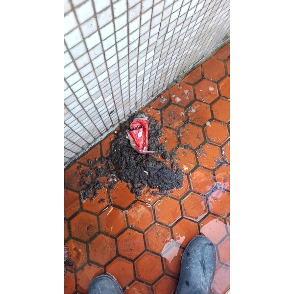 地板磁磚清洗 地板磁磚清洗