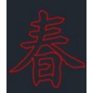 LED春燈-金昕土木包工業