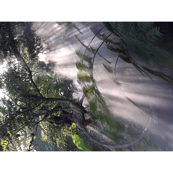 戶外降溫造景-欣旺設計有限公司