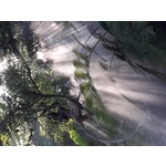 戶外降溫造景