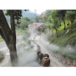 園區降溫造景