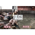 房屋清潔維護