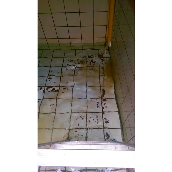水塔清洗-力達興業有限公司