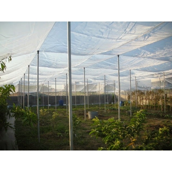 網室DIY圓頭長牙固定帽組 (網室錏管帽)-安稼企業股份有限公司