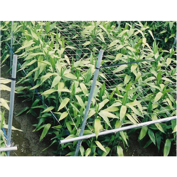 各種農業用網-安稼企業股份有限公司