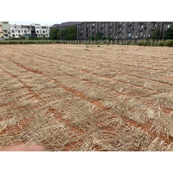 台中市龍井區~整地鋪陳-承蓁工程行