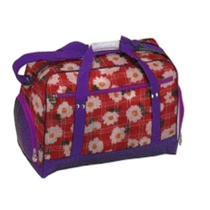 景興設計模擬系統(DSS)(皮包)-景興電腦科技有限公司