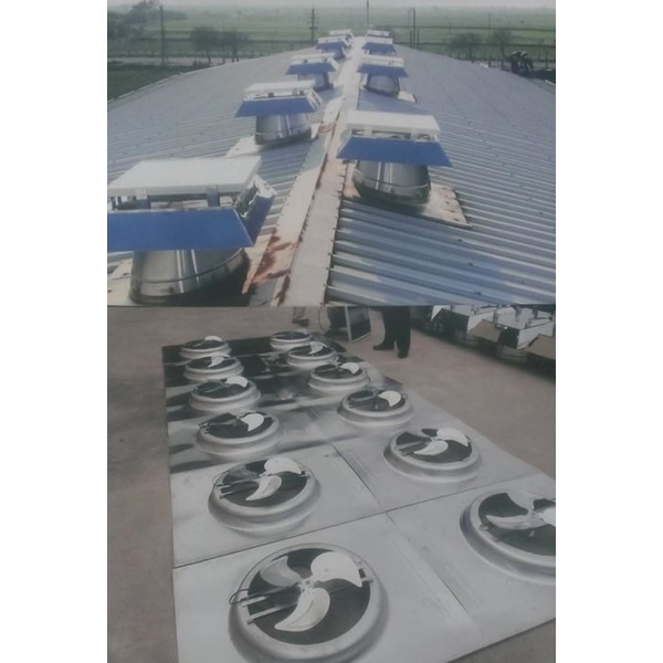 養鴨場通風散熱設備 太陽能通風器-進釜企業有限公司