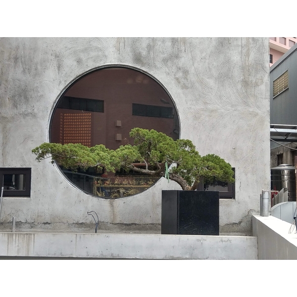 庭園樹