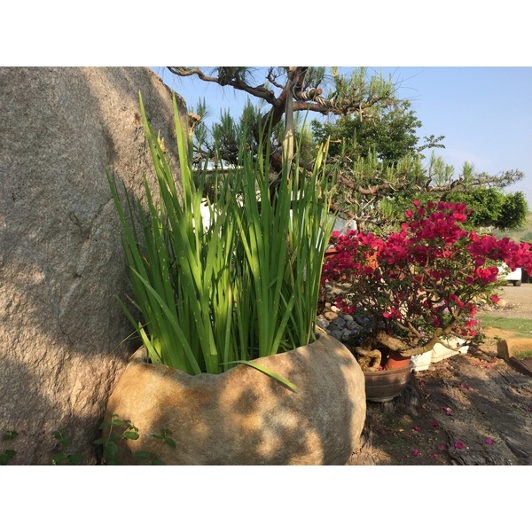 園區景緻-清宏造園