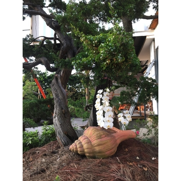 園區景緻-清宏造園