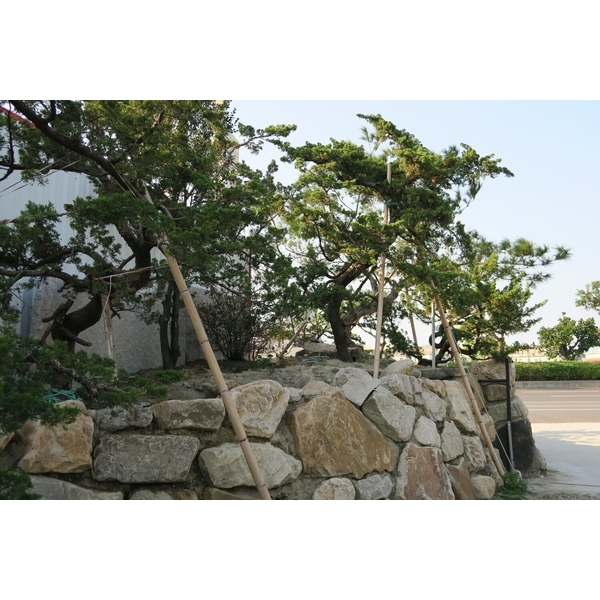 園區景緻-清宏造園