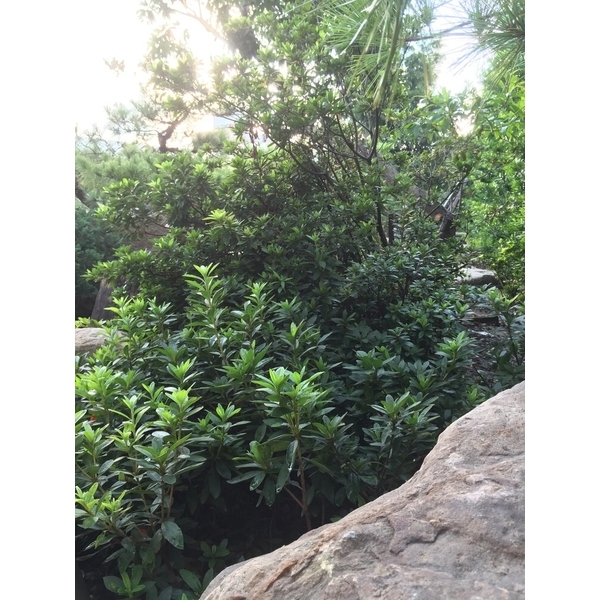 園區景緻-清宏造園