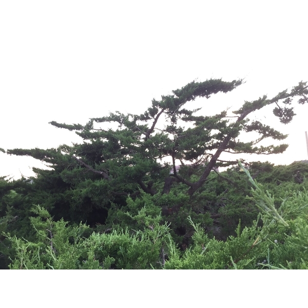 園區景緻-清宏造園