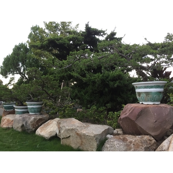 園區景緻-清宏造園