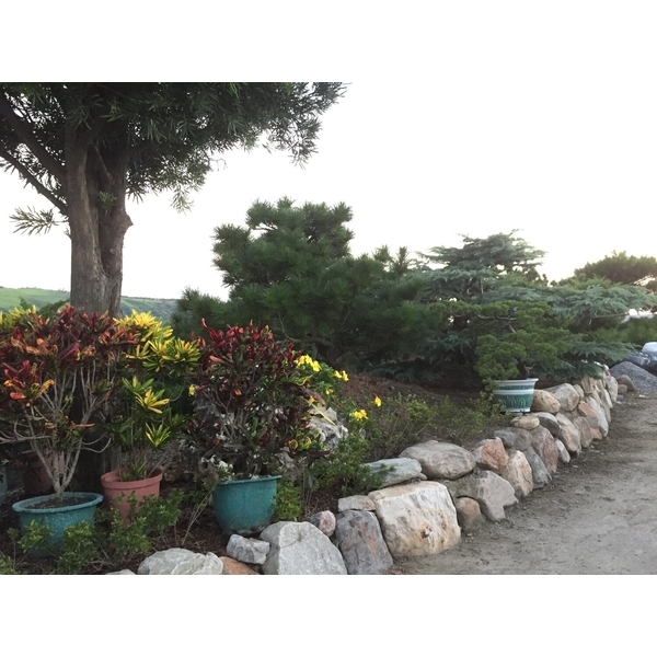 園區景緻-清宏造園