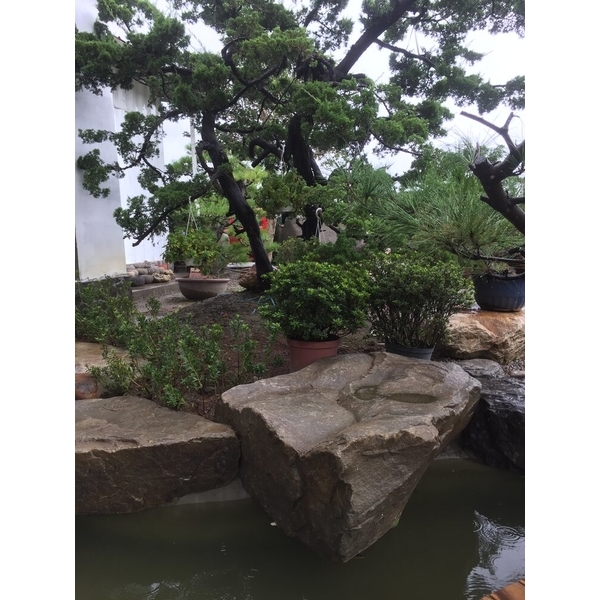 園區景緻