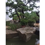 園區景緻-清宏造園