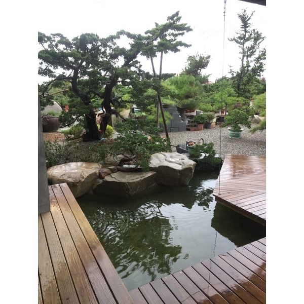 園區景緻-清宏造園
