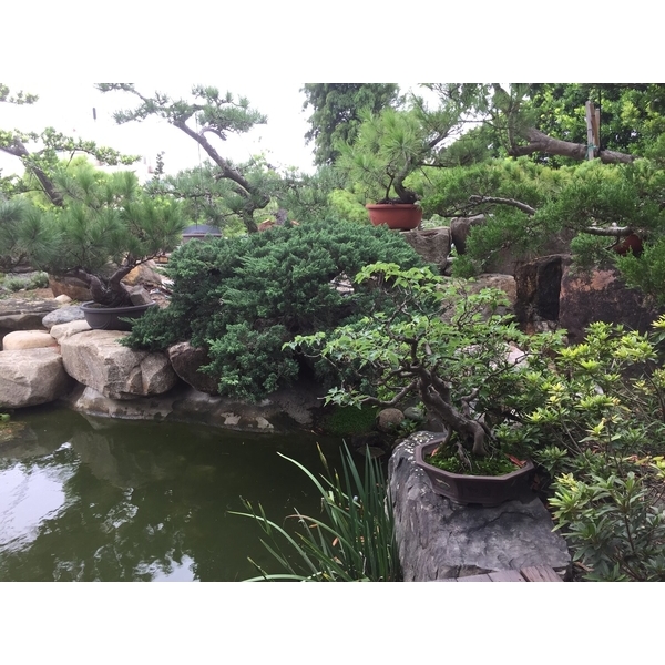 園區景緻-清宏造園