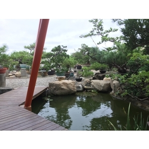 園區景緻-清宏造園