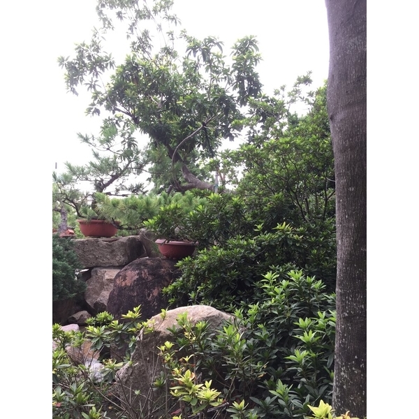 園區景緻-清宏造園