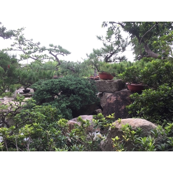 園區景緻-清宏造園