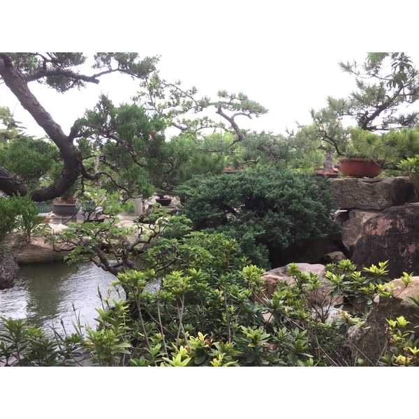 園區景緻-清宏造園